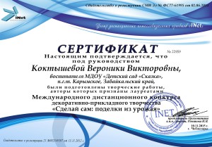 Коктышевой Виронике Викторовне